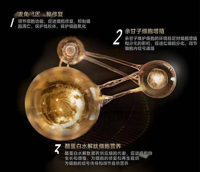 wetrade众汇平台掌握这些关键，轻松总结股票交易技巧与经验复制